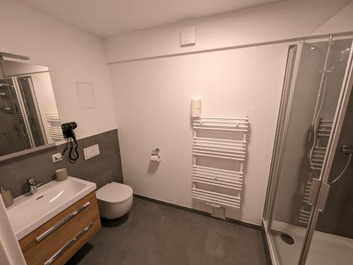 La salle de bains est pourvue de toilettes, d'un lavabo et d'une douche. dans l'établissement Wurmberg, à Hahnenklee