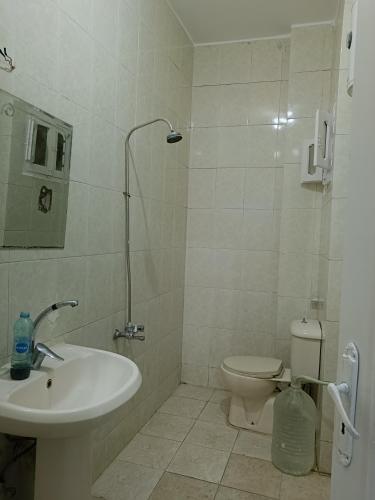 a bathroom with a sink and a toilet at النخلة 8 in Mansoura