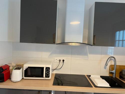 eine Küchentheke mit Mikrowelle und Spüle in der Unterkunft villa pleine nature in Brétigny-sur-Orge