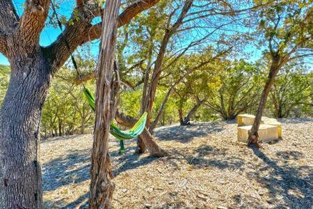 a hammock in the middle of a forest with trees at Starlight Horizon Cabin C - Pet-Friendly Texas Hill Country Cabin Near Canyon Lake - Pool, Stargazing & Group Getaways Sleeps 8 in Canyon Lake