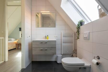 a bathroom with a toilet and a sink with a mirror at Hello Zeeland - vakantiewoning Knuitershoek 86 in Kloosterzande