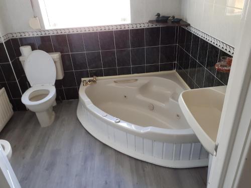 a bathroom with a tub and a toilet and a sink at Island view in Spittal