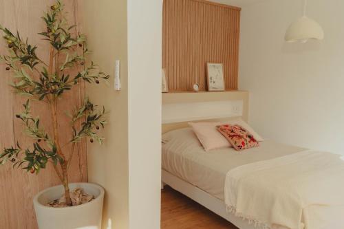 une chambre avec un lit et une plante en pot dans l'établissement Au cœur de Hyeres, Idéal pour les couples !, à Hyères