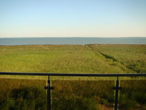 un campo de hierba con el océano en el fondo en Villa Piaski, en Krynica Morska