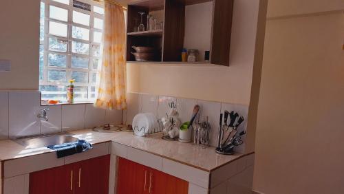 a kitchen counter with a sink and a window at MaGiK Furnished All Ensuite 2 bedroom Apartment in Nyeri