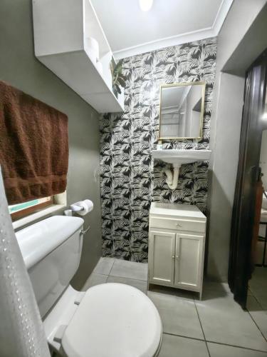 a bathroom with a white toilet and a mirror at Mitchell Guesthouse in Pietermaritzburg