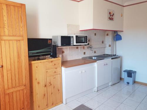 eine kleine Küche mit Mikrowelle und Spüle in der Unterkunft Studio Albizia Lamalou les Bains in Lamalou-les-Bains