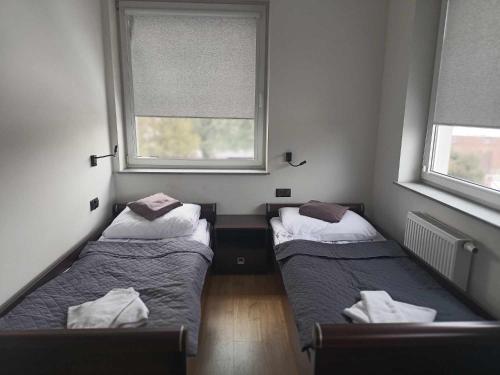 two beds in a room with two windows at Baza noclegowa Mistral in Sieradz
