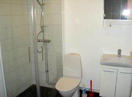 a bathroom with a shower and a toilet and a sink at Elvis Stuga in Östersund