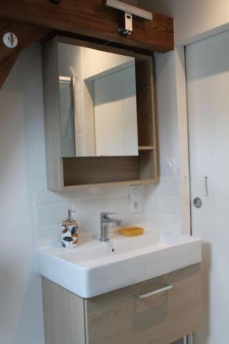 une salle de bain avec un lavabo blanc et un miroir dans l'établissement La pépinière/ Au cœur des châteaux et Beauval, à Contres