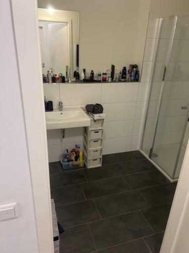 La salle de bains est pourvue d'un lavabo et d'une douche. dans l'établissement Schönes Apartment Nähe HBF, à Brême