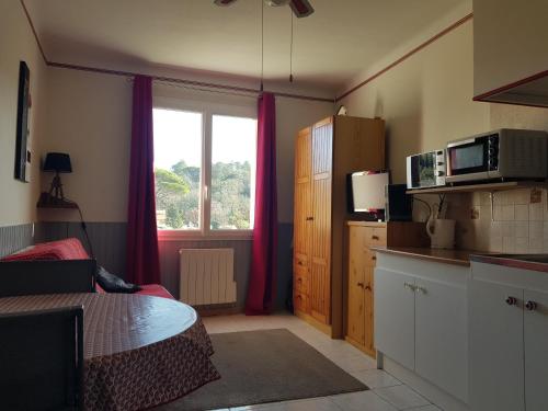 eine kleine Küche mit einer Mikrowelle und einem Fenster in der Unterkunft Studio Albizia Lamalou les Bains in Lamalou-les-Bains