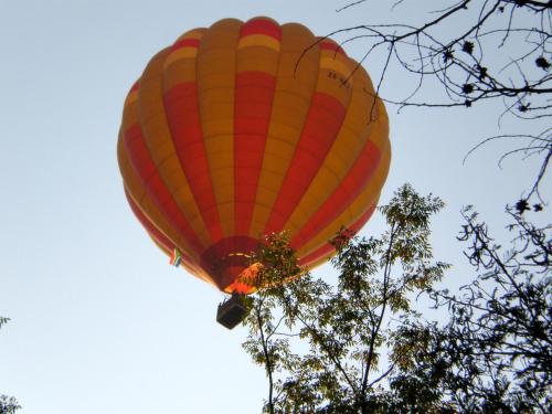 Φωτογραφία από το άλμπουμ του Damascus Bush Lodge σε Hartbeespoort