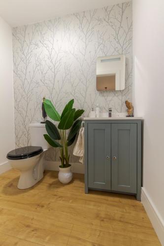 a bathroom with a toilet and a sink and a plant at Renada Cottage in Dingle