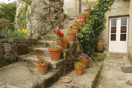 um grupo de vasos de plantas em degraus ao lado de uma porta em Casa de Castelo Novo em Castelo Novo