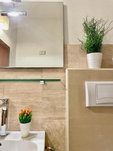 a bathroom with two potted plants on the wall at Bnbook Lago Maggiore Studio 2 in Dormelletto
