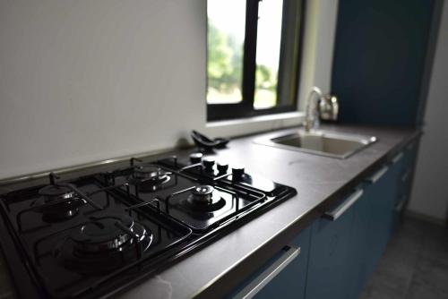 a stove top oven in a kitchen with a sink at BORJOMI CHALET WEEKEND in Tsemi