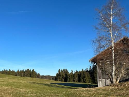 un antiguo granero en un campo con un árbol en Haus Allgäu Ruh, en Görisried