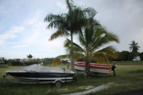 a boat is parked next to a palm tree at Apartamento en Playa Coconut @drvacationsrental in Puerto Palenque