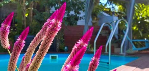 un ramo de flores rosas junto a una piscina en Kaz Alberto Guadeloupe, en Sainte-Rose