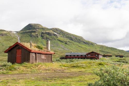 two buildings in a field next to a mountain at Tyinholmen Høyfjellsstuer in Eidsbugarden