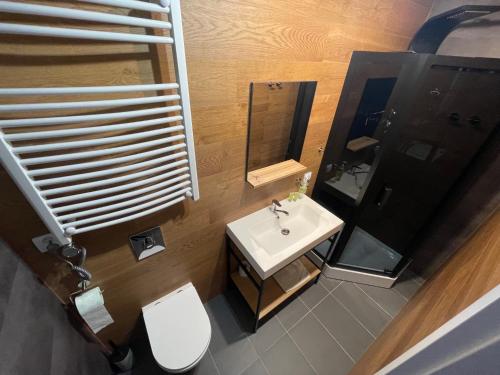 La salle de bains est pourvue d'un lavabo, de toilettes et d'un miroir. dans l'établissement Adria House, à Skwierzyna