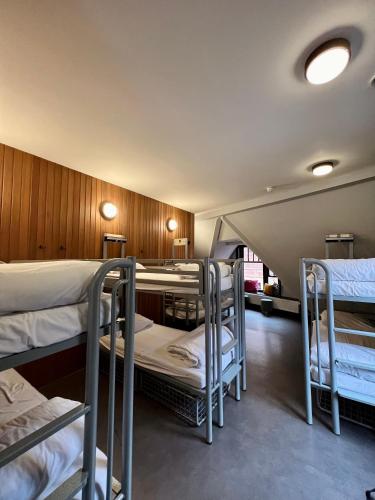 a group of bunk beds in a room at Durty Nelly's Inn in Amsterdam