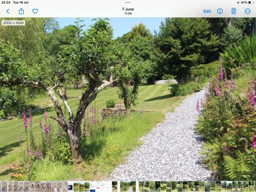 Foto sihtkohas Launceston asuva majutusasutuse Creekside Lodge Bathpool Launceston Cornwall galeriist