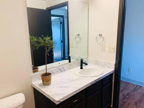 Un baño con un lavabo y una planta en maceta. en Modern Lofts at Aria 11, en Kalispell