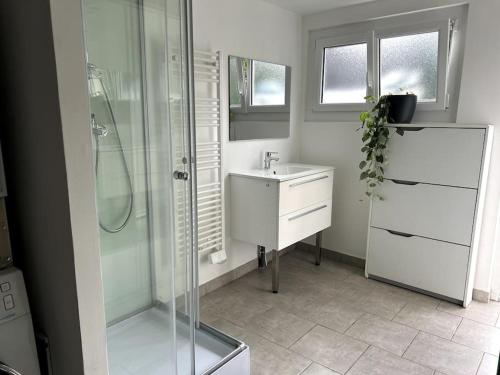 ein Bad mit einer Glasdusche und einem Waschbecken in der Unterkunft Maison 77 : 5 chambres-Babyfoot-SPA proche Disney in Mouroux