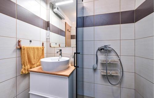 ein Bad mit einem Waschbecken und einer Dusche in der Unterkunft Cozy Home In Vukovoj With Wi-fi 