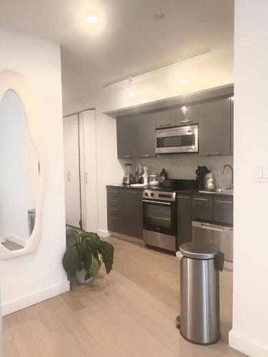 una cocina con armarios negros y electrodomésticos de acero inoxidable en Exquisite Urban Oasis: Luxury 1 Bedroom Retreat in Downtown Manhattan, en Nueva York