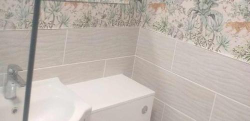 baño con aseo blanco y pared en Stunning 2-Bed Chalet in Hemsby Great Yarmouth, en Great Yarmouth
