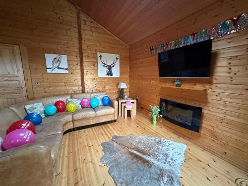 Μια τηλεόραση ή/και κέντρο ψυχαγωγίας στο Hollybush Lodges
