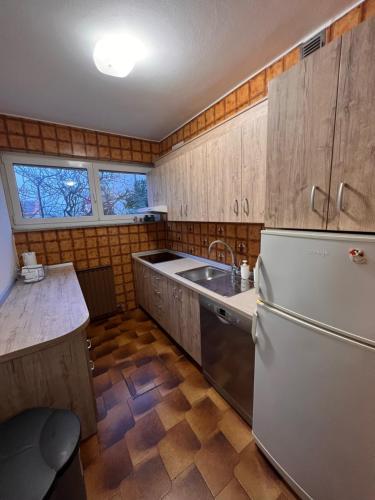 a kitchen with a refrigerator and a sink at Lazar TERRACE Apartment in Izola