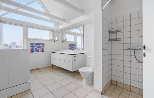 La salle de bains est pourvue de toilettes, d'un lavabo et d'une douche. dans l'établissement Cozy Home In Assens With Wifi, à Assens