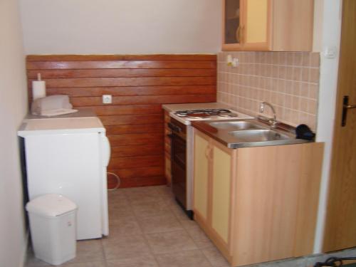 cocina pequeña con fregadero y fogones en Apartment Park Crni Lug, en Crni Lug