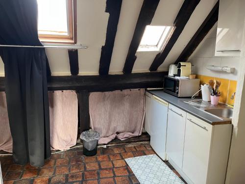 - une cuisine avec un comptoir et un four micro-ondes dans l'établissement Rue du poirier, à Orléans