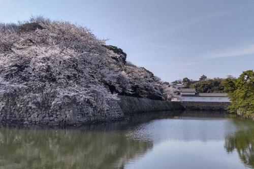 a body of water with a stone wall and trees at Villa Hikone Castle ヴィラ彦根キャッスル 彦根城9分 10人泊 キャッスルロード4分 ひこにゃん4分 駐車3台 ビワイチ in Hikone