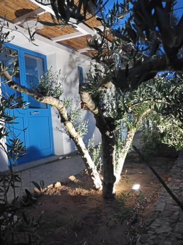 a tree in front of a house with a blue door at B&B S'Incantu in SantʼAnna Arresi