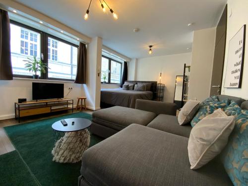 a living room with a couch and a tv at Lifestyle Apartments - CityLoft in Coburg