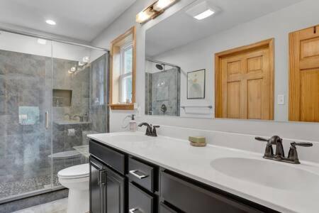 ein Bad mit einem Waschbecken, einer Dusche und einem WC in der Unterkunft Evergreen Escape - Jim Thorpe Multi Ski Resort in Albrightsville