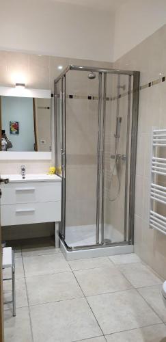 une salle de bain avec douche et lavabo dans l'établissement GRAND Studio meublé-Juan Pins-Logt 4, à Antibes