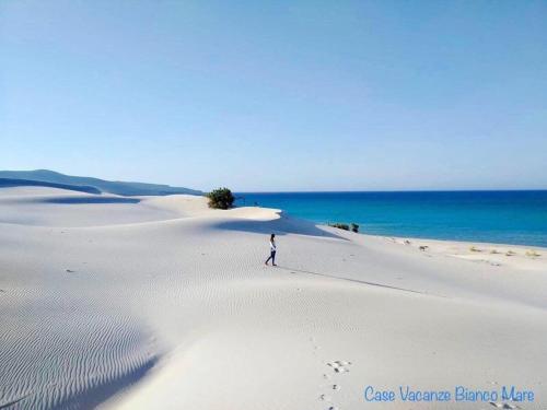 桑塔安納瑞希的住宿－B&B S'Incantu，一个人在靠近海洋的沙丘上行走