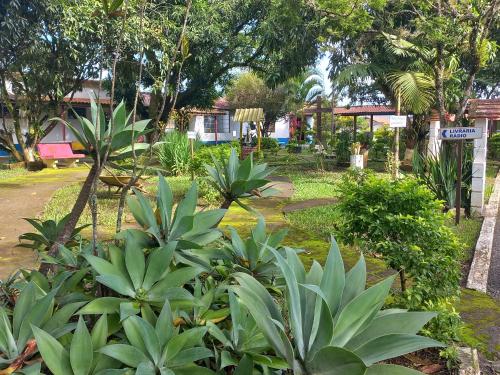 Comunidade Anuncia-Me – Photos 4