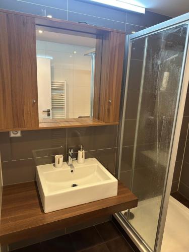 a bathroom with a white sink and a mirror at Apartments Palmovka in Prague
