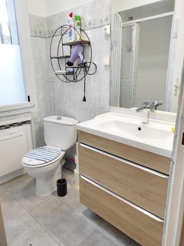 une salle de bain avec un lavabo, des toilettes et un miroir dans l'établissement Guynemer 3 pièces de vie - villa - Terrasse- Clim, à Toulouse