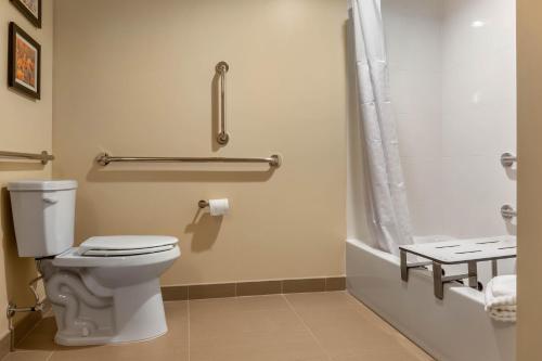 a bathroom with a toilet and a shower at Comfort Inn & Suites Gap Amish Country in Gap