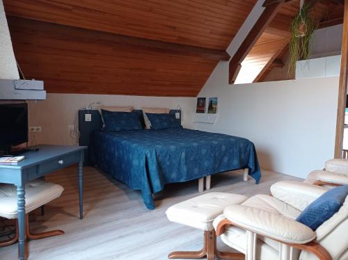 1 dormitorio con 1 cama, escritorio y sillas en Chambres d'hôtes Era Honteta, en Artigues