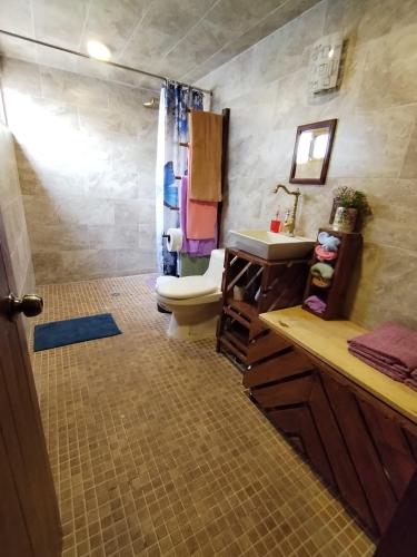 y baño con aseo, lavabo y ducha. en Siempre Viva, en Chignahuapan